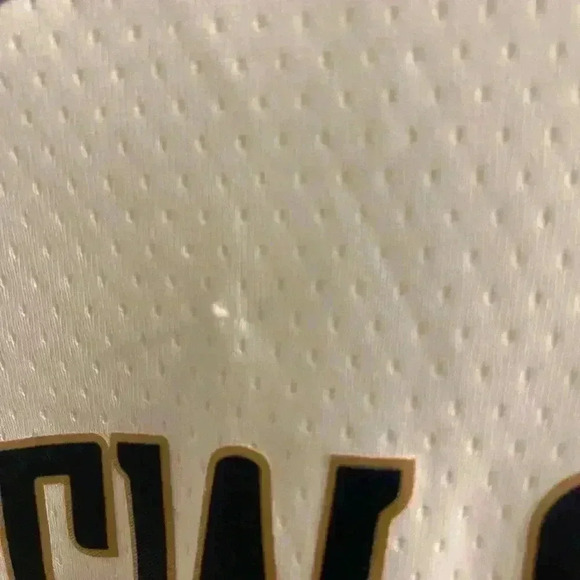 Zion Williamson Mens 40 Small New Orleans Pelicans Nike Swingman Jersey NBA - Picture 2 of 11